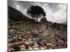 A Pakistani Refugee Walks Past Clothing Left Strewn on the Ground-null-Mounted Photographic Print