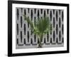 A Palm Against Grey-Andy Burgess-Framed Giclee Print