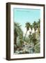 A Palm Canyon in California-null-Framed Art Print