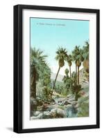 A Palm Canyon in California-null-Framed Art Print