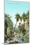 A Palm Canyon in California-null-Mounted Art Print