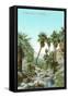 A Palm Canyon in California-null-Framed Stretched Canvas