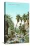 A Palm Canyon in California-null-Stretched Canvas