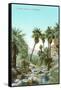 A Palm Canyon in California-null-Framed Stretched Canvas