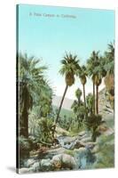 A Palm Canyon in California-null-Stretched Canvas