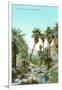 A Palm Canyon in California-null-Framed Art Print
