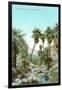 A Palm Canyon in California-null-Framed Art Print