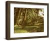 A palm grove on Elephantine Island, Egypt-English Photographer-Framed Giclee Print