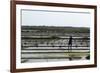 A Paludier Rakes Natural Sea Salt-Sara Erith-Framed Photographic Print