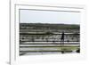 A Paludier Rakes Natural Sea Salt-Sara Erith-Framed Photographic Print