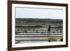 A Paludier Rakes Natural Sea Salt-Sara Erith-Framed Photographic Print