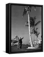 A Pan American Pilot and Flight Attendant the Edge of the Tarmac at Miami International Airport-null-Framed Stretched Canvas