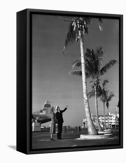 A Pan American Pilot and Flight Attendant the Edge of the Tarmac at Miami International Airport-null-Framed Stretched Canvas