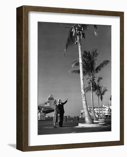 A Pan American Pilot and Flight Attendant the Edge of the Tarmac at Miami International Airport-null-Framed Photographic Print