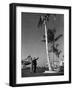 A Pan American Pilot and Flight Attendant the Edge of the Tarmac at Miami International Airport-null-Framed Photographic Print