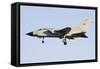 A Panavia Tornado Ids of the Italian Air Force-null-Framed Stretched Canvas