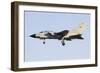 A Panavia Tornado Ids of the Italian Air Force-null-Framed Photographic Print