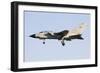 A Panavia Tornado Ids of the Italian Air Force-null-Framed Photographic Print