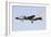 A Panavia Tornado Ids of the Italian Air Force-null-Framed Photographic Print