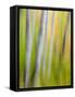 A Panned Motion Blur of Autumn Woodland.-Julianne Eggers-Framed Stretched Canvas