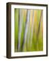 A Panned Motion Blur of Autumn Woodland.-Julianne Eggers-Framed Photographic Print