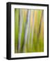 A Panned Motion Blur of Autumn Woodland.-Julianne Eggers-Framed Photographic Print