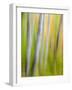 A Panned Motion Blur of Autumn Woodland.-Julianne Eggers-Framed Photographic Print