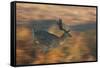 A Panned Shot of a Fallow Deer Running Through the Grasses in Richmond Park-Alex Saberi-Framed Stretched Canvas