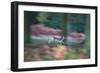 A Panned View of a Fallow Deer, Dama Dama, Running and Jumping Among Trees-Alex Saberi-Framed Photographic Print