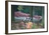 A Panned View of a Fallow Deer, Dama Dama, Running and Jumping Among Trees-Alex Saberi-Framed Photographic Print