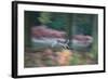 A Panned View of a Fallow Deer, Dama Dama, Running and Jumping Among Trees-Alex Saberi-Framed Photographic Print