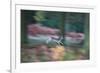 A Panned View of a Fallow Deer, Dama Dama, Running and Jumping Among Trees-Alex Saberi-Framed Photographic Print
