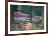 A Panned View of a Fallow Deer, Dama Dama, Running and Jumping Among Trees-Alex Saberi-Framed Photographic Print