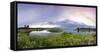 A Panorama of the Millionaire's Pool on the Henry's Fork River in Idaho-Clint Losee-Framed Stretched Canvas