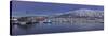 A panoramic view of a port-Richard Bryant-Stretched Canvas