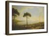 A Panoramic View of Naples, the Bay of Naples, Portici, Vesuvius, the Sorrento Peninsula and…-Pietro Fabris-Framed Giclee Print