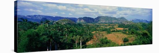 A Panoramic View of the Valle De Vinales, in Central Cuba-null-Stretched Canvas