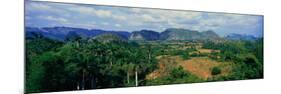 A Panoramic View of the Valle De Vinales, in Central Cuba-null-Mounted Photographic Print