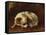 A Papillon-Henriette Ronner-Knip-Framed Stretched Canvas