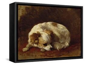 A Papillon-Henriette Ronner-Knip-Framed Stretched Canvas