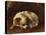 A Papillon-Henriette Ronner-Knip-Stretched Canvas