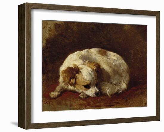 A Papillon-Henriette Ronner-Knip-Framed Giclee Print