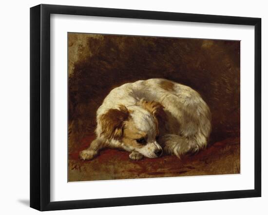 A Papillon-Henriette Ronner-Knip-Framed Giclee Print