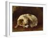 A Papillon-Henriette Ronner-Knip-Framed Giclee Print