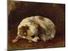 A Papillon-Henriette Ronner-Knip-Mounted Giclee Print