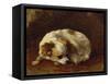 A Papillon-Henriette Ronner-Knip-Framed Stretched Canvas