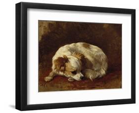 A Papillon-Henriette Ronner-Knip-Framed Giclee Print