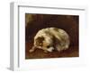 A Papillon-Henriette Ronner-Knip-Framed Giclee Print