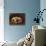 A Papillon-Henriette Ronner-Knip-Giclee Print displayed on a wall