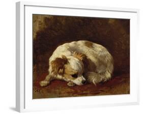 A Papillon-Henriette Ronner-Knip-Framed Giclee Print